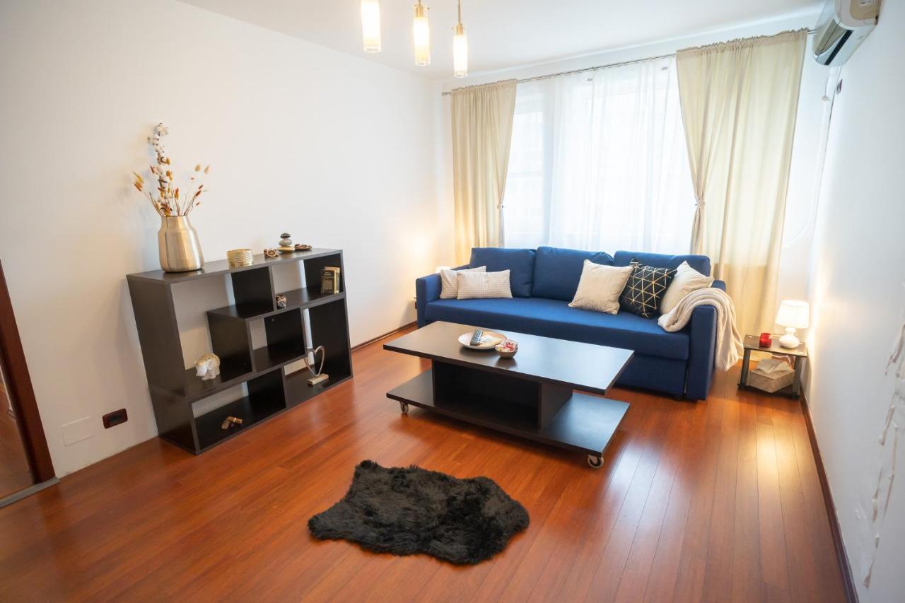 Spacious 2Br Dristor Apartment Bukareszt Zewnętrze zdjęcie